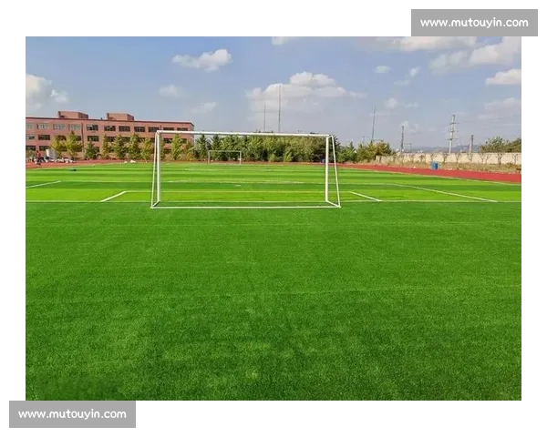 以足球草坪为核心推动体育场地品质与城市活力全面升级发展路径